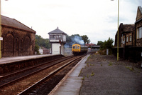101 DMU