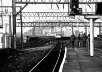 101 DMU