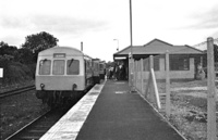 101 DMU