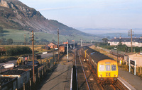 101 DMU