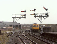  DMU