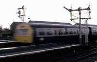 101 DMU