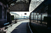 DMU