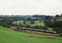 DMU
