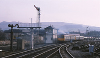 111 DMU