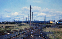 113 DMU