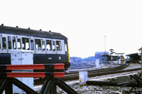 DMU