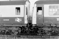 DMU