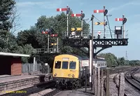 DMU