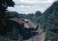 DMU