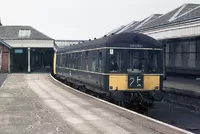 100 DMU