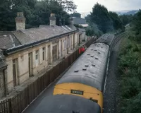101 DMU