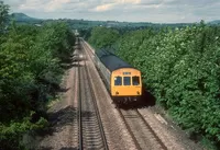 DMU