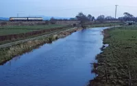DMU