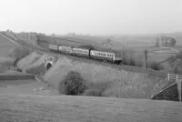  DMU