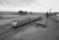 101 DMU
