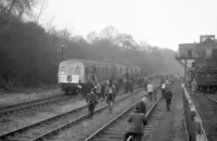 DMU