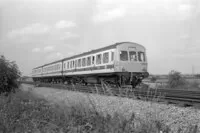 DMU
