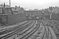 DMU