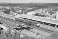  DMU