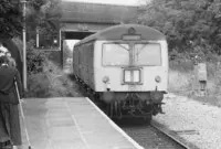 DMU