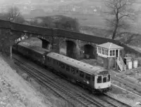 DMU