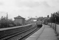113 DMU