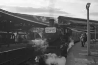 113 DMU