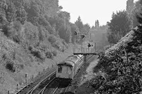 DMU