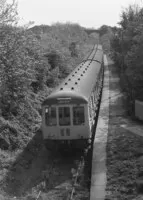  DMU