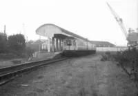 DMU