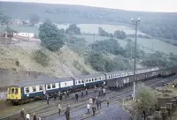 DMU
