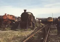 DMU