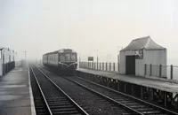 121 DMU