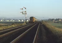  DMU