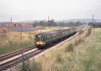Derby lightweight at near Rose Hill